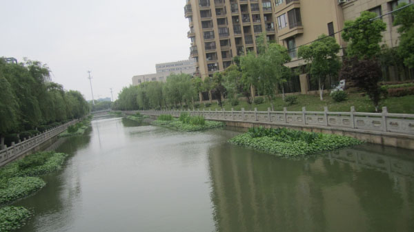 保利東江黑臭河道修復(fù)項目